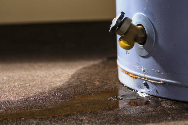 Best Sewage cleanup and water damage restoration  in York, AL