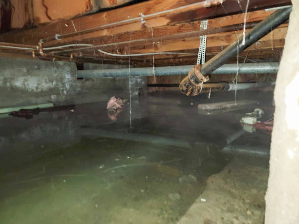 Best Flooded house restoration  in York, AL