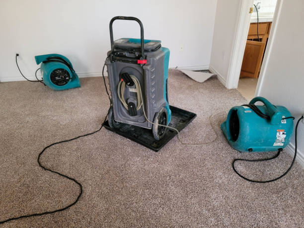 Best Mold removal after water damage  in York, AL