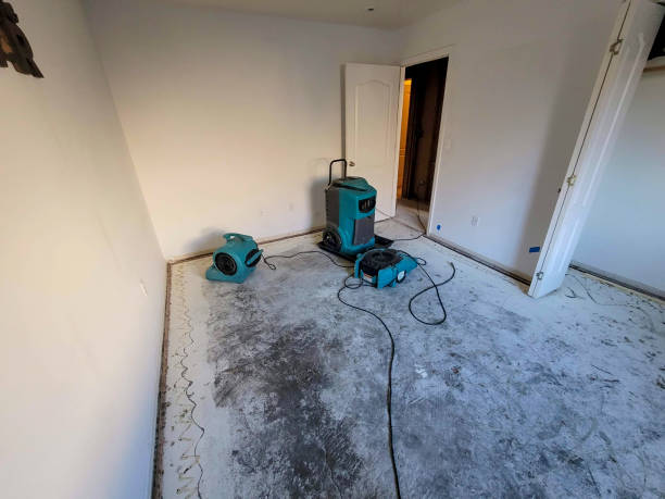 Best 24/7 water damage repair  in York, AL