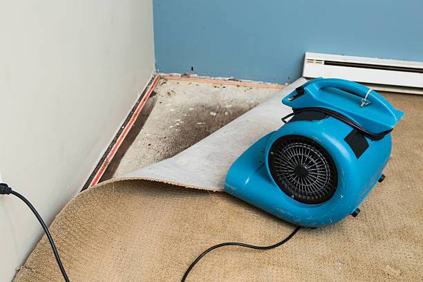 Local water damage restoration in York, AL